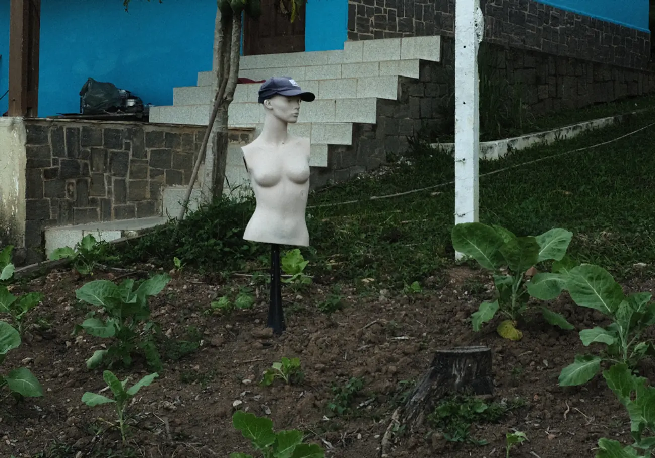 Miscelânea