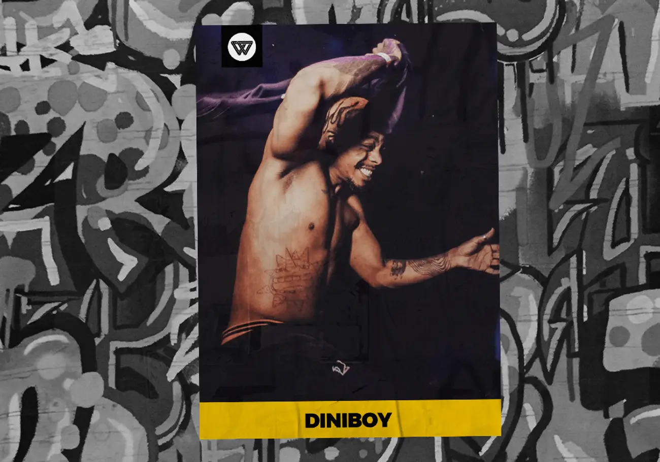 Diniboy