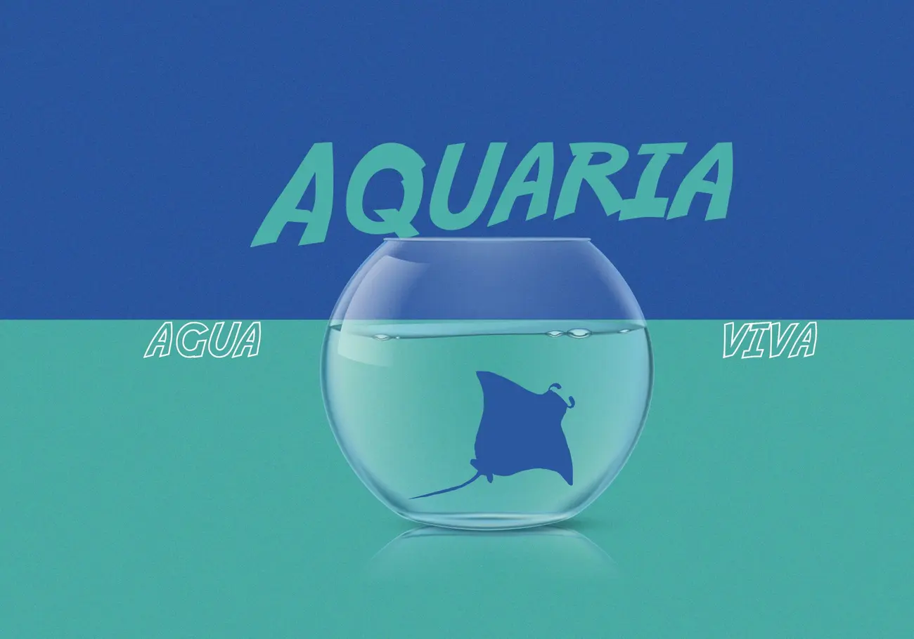 Arraya