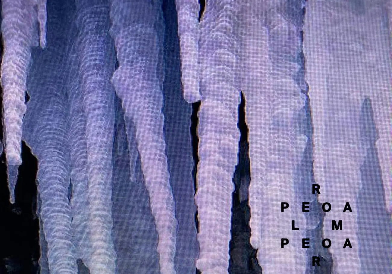 Pleroma