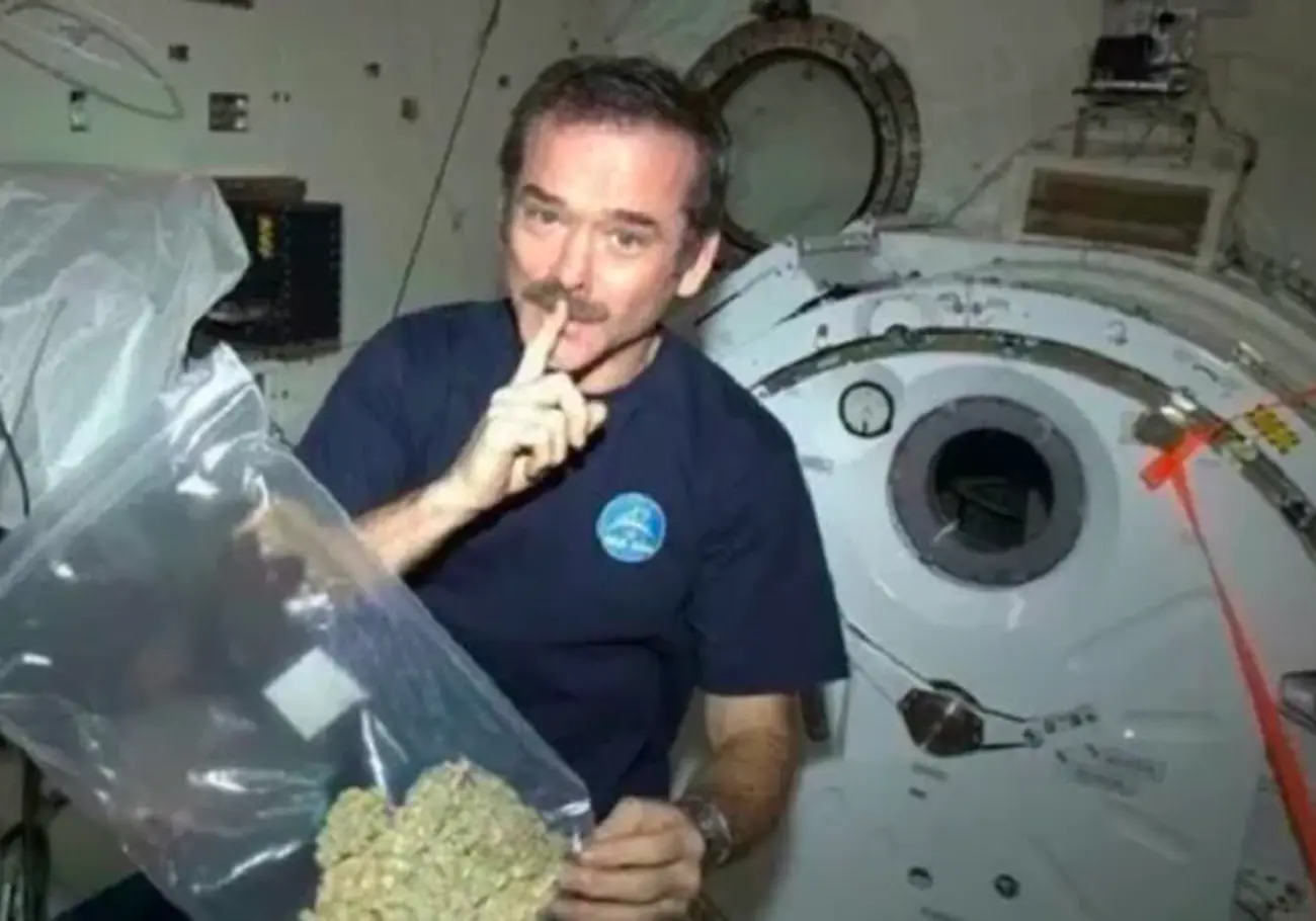 Mates In Space
