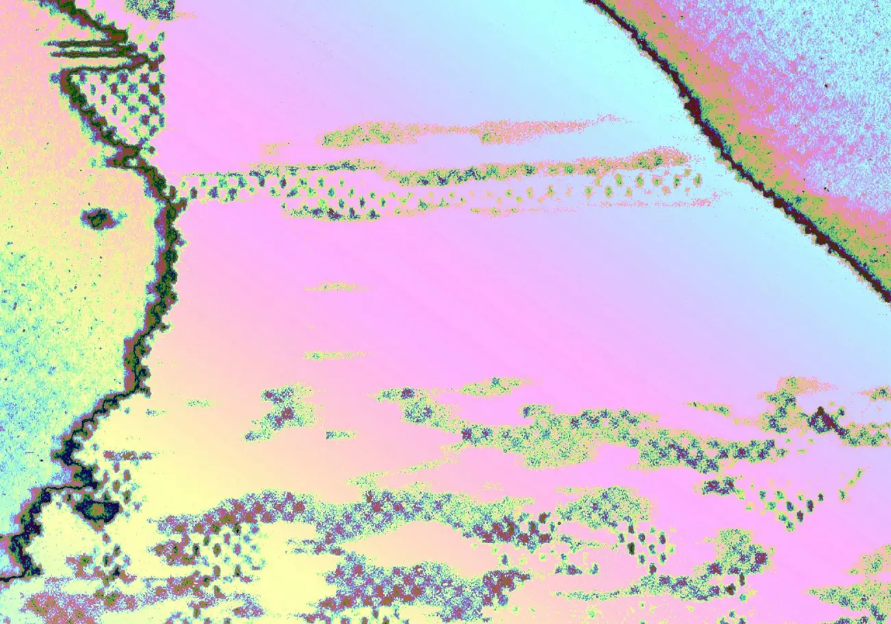 Rollinos Psychadelic Breakfast