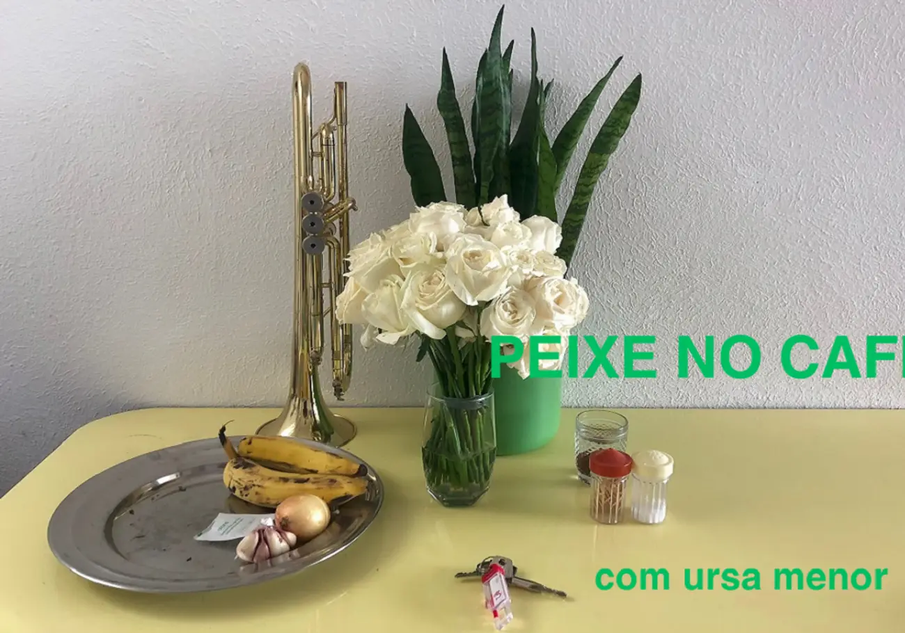 Peixe no Café