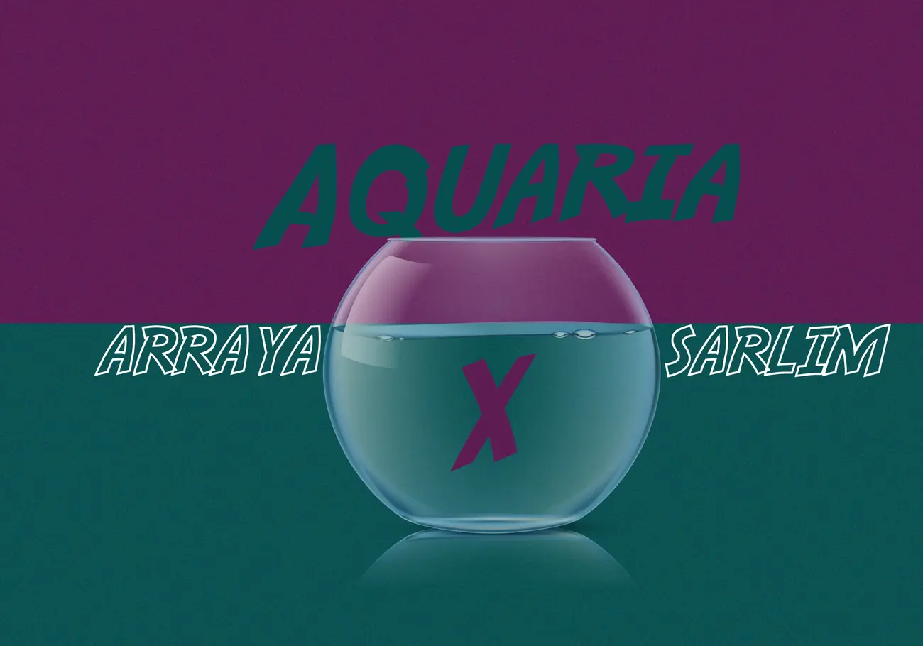 Arraya x Sarlim