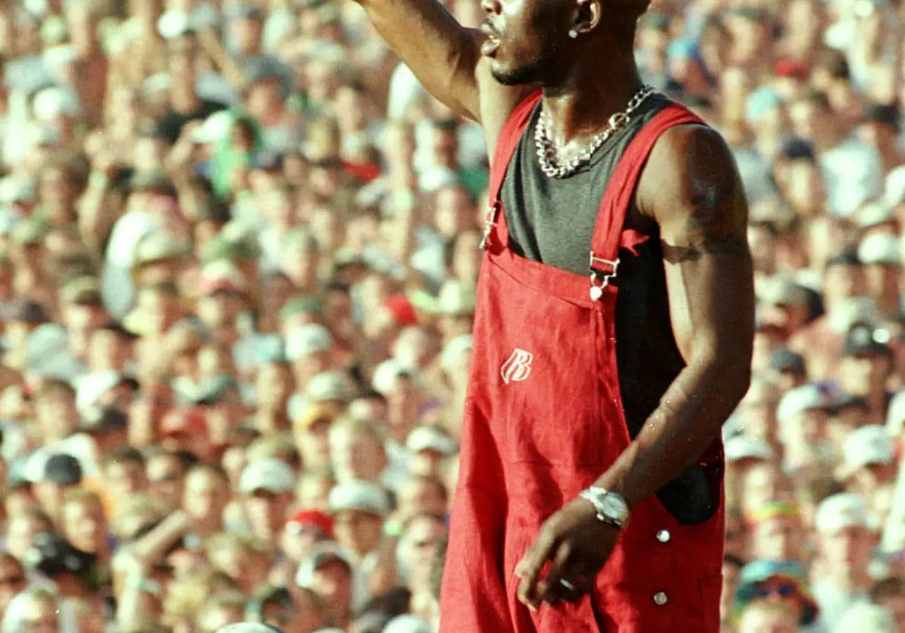 Flava In Ya Ear