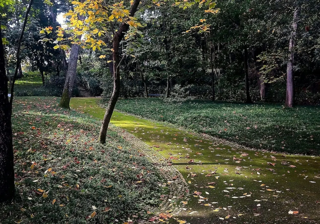 Debris