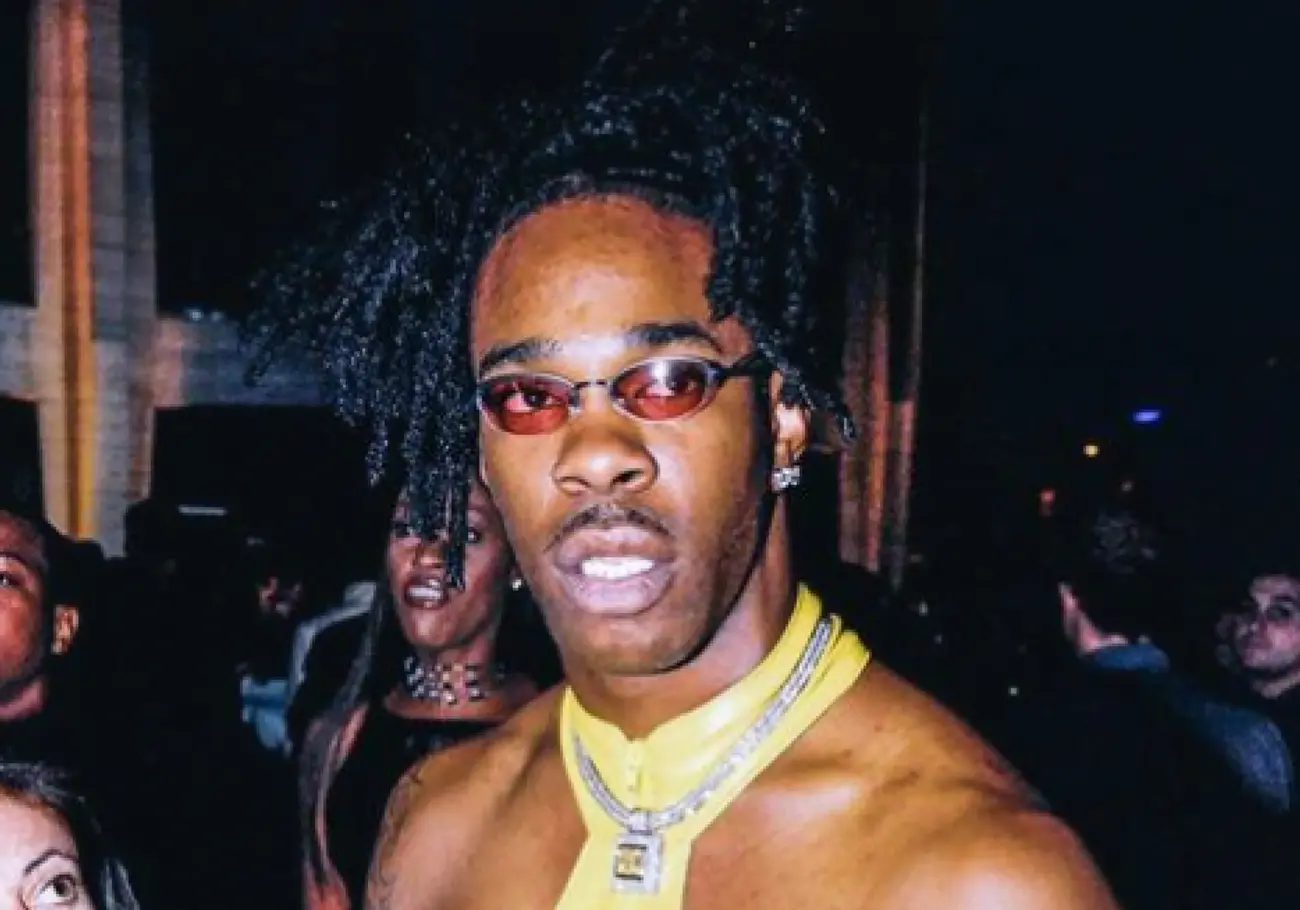 Flava In Ya Ear