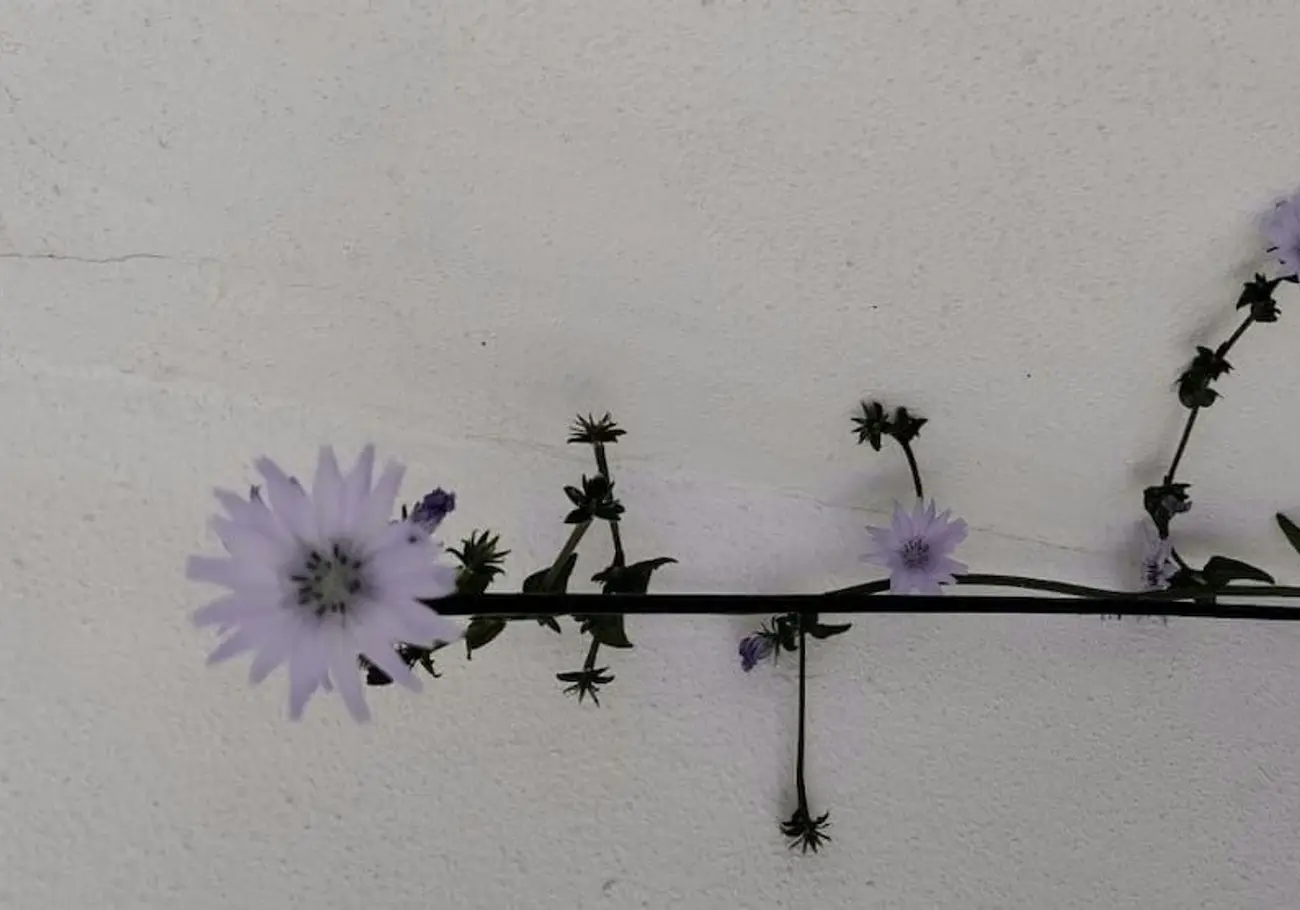 Debris