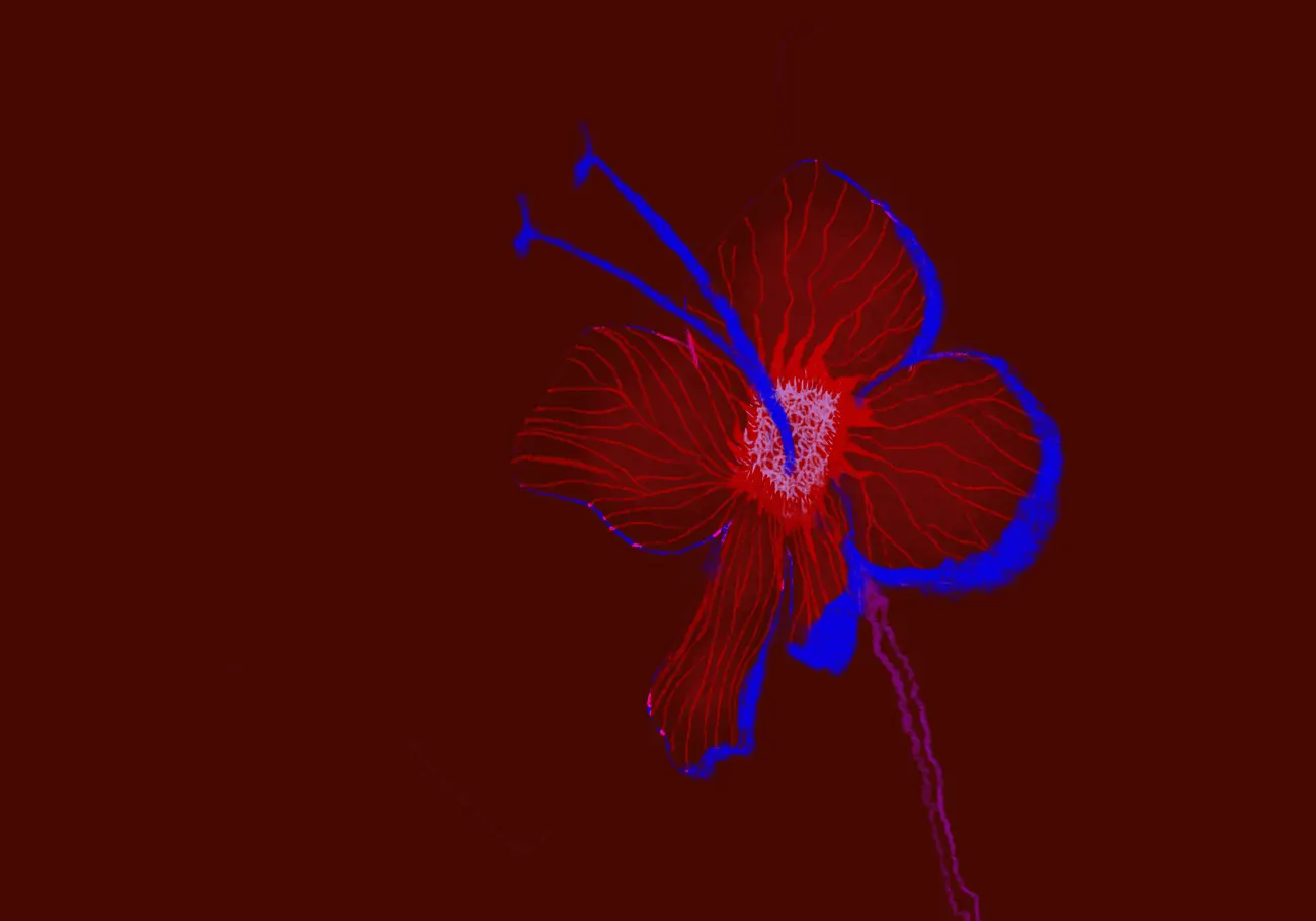 Volta Oculta