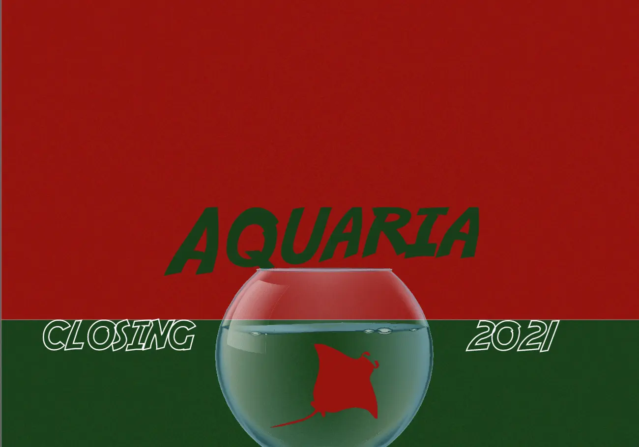 Arraya