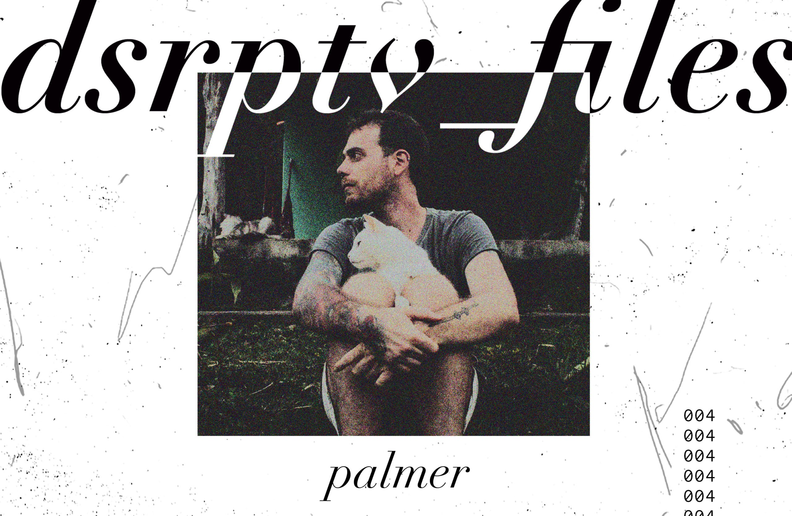 dsrptv_files – Palmer