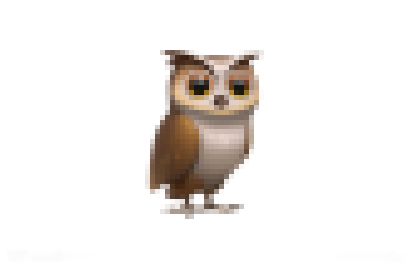 LogoLogo – OWLT